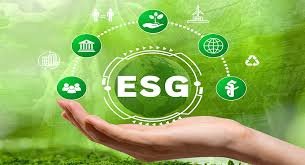ESG and Sustainability Advisory