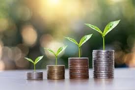 Investor and Funding Connect